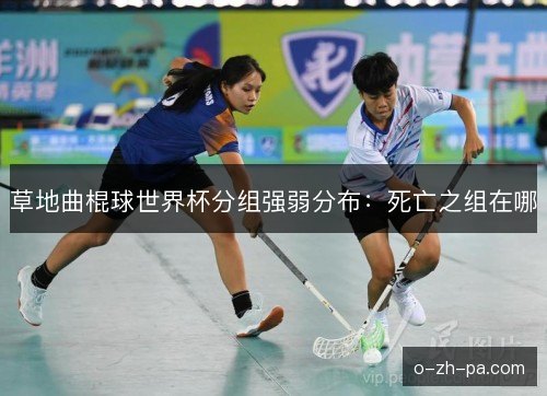 草地曲棍球世界杯分组强弱分布：死亡之组在哪