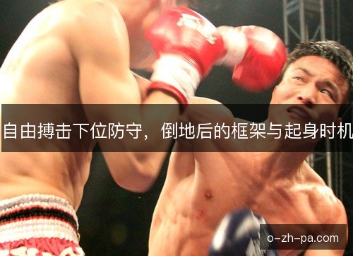 自由搏击下位防守，倒地后的框架与起身时机